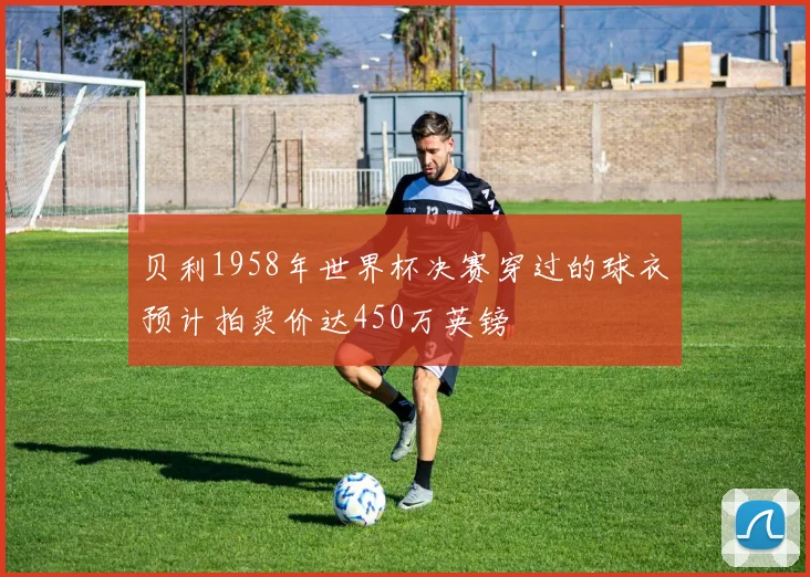 贝利1958年世界杯决赛穿过的球衣预计拍卖价达450万英镑